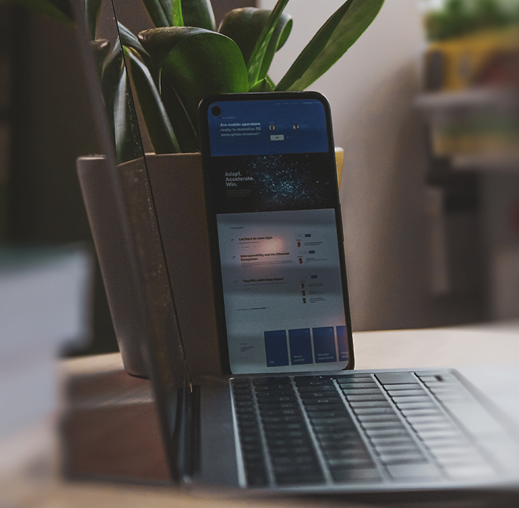 eCommerce Website Development